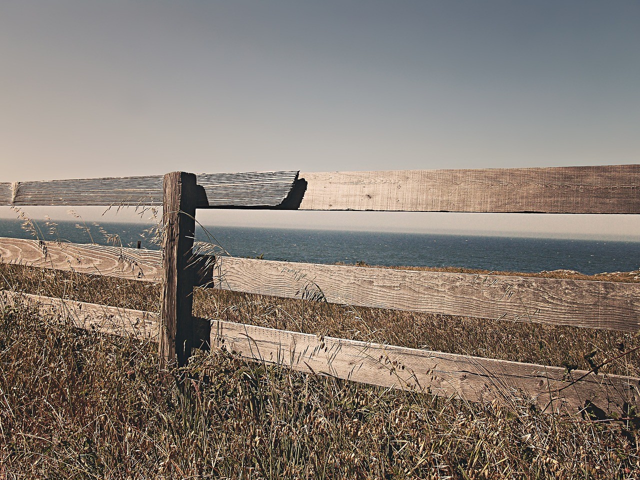 1697101240069015155.jpg fence-238475_1280.jpg